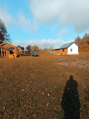 Domek wśród bagien